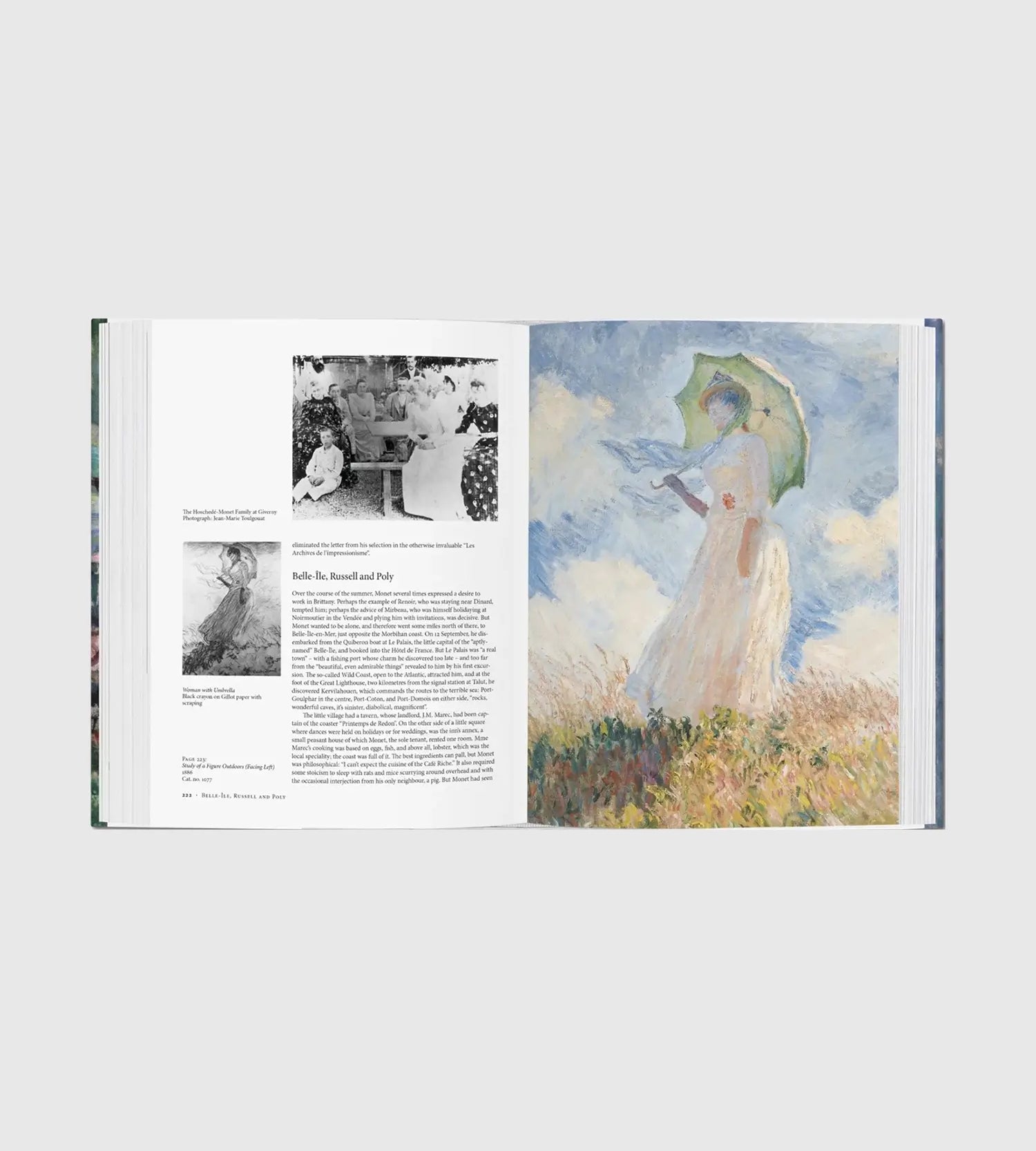 Monet. The Triumph of Impressionism