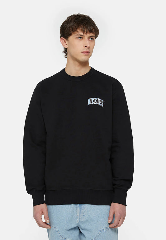 Dickies AITKIN CHEST - Sweatshirt