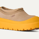 Tasman Weather Hybrid Mustard Seed