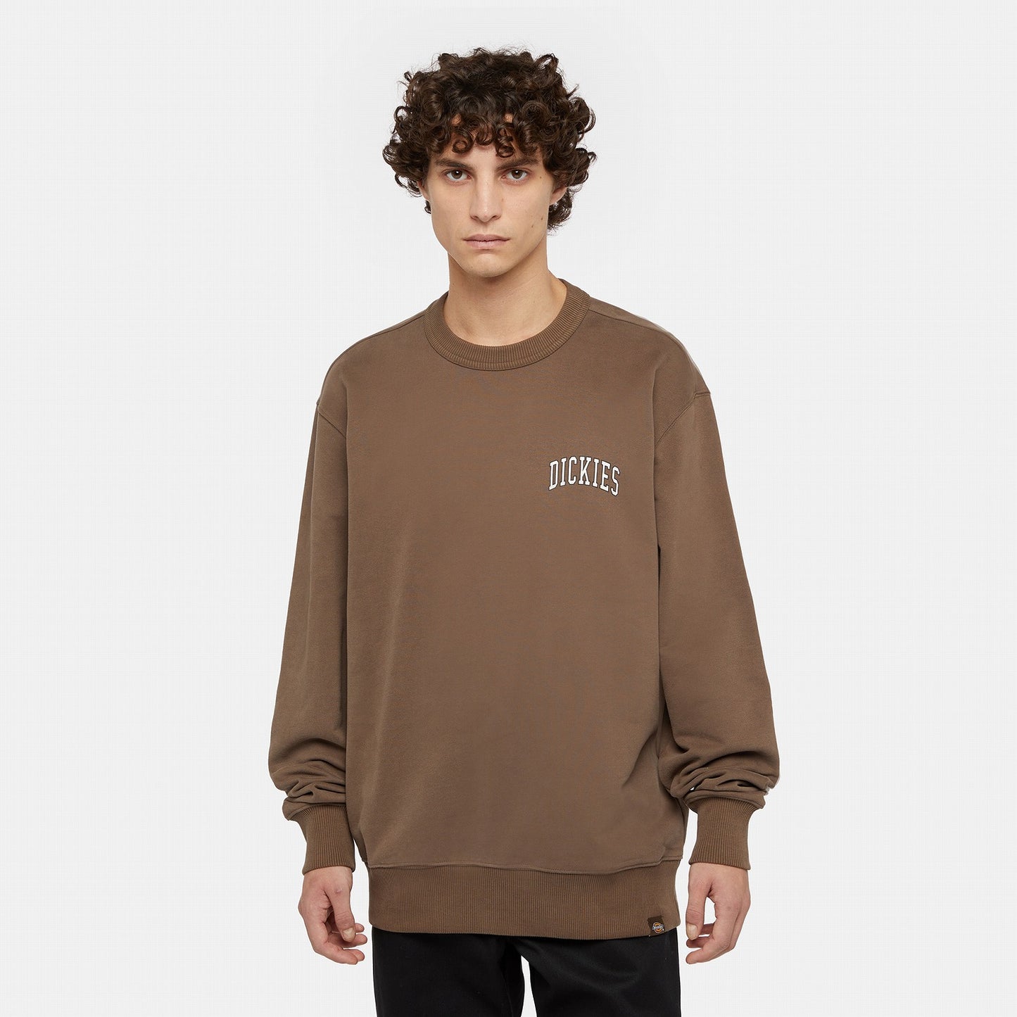 DICKIES AITKIN CHEST SWEATSHIRT