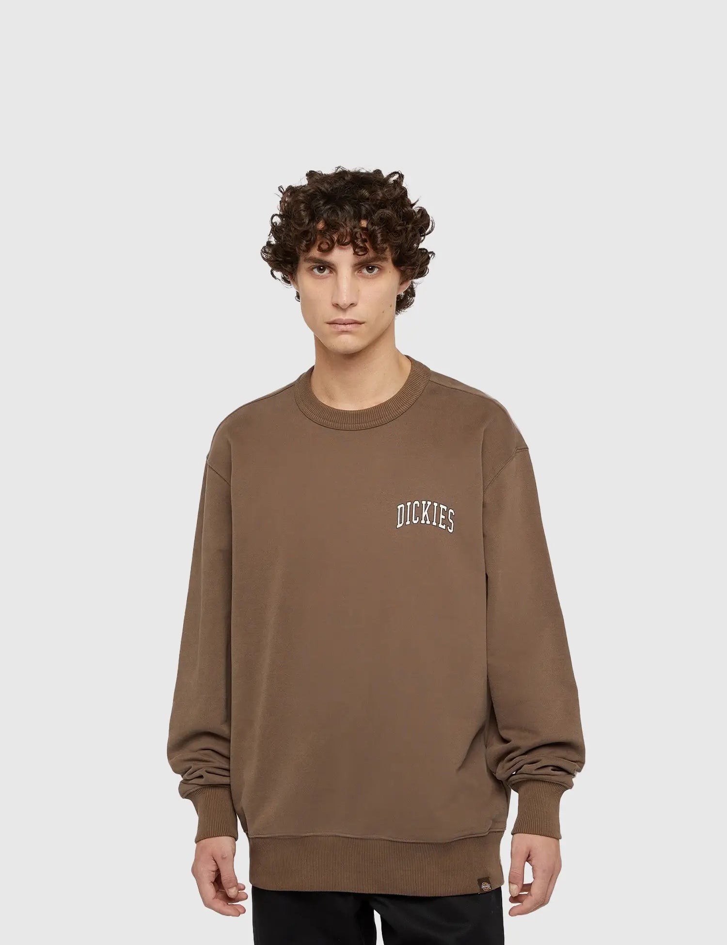 DICKIES AITKIN CHEST SWEATSHIRT