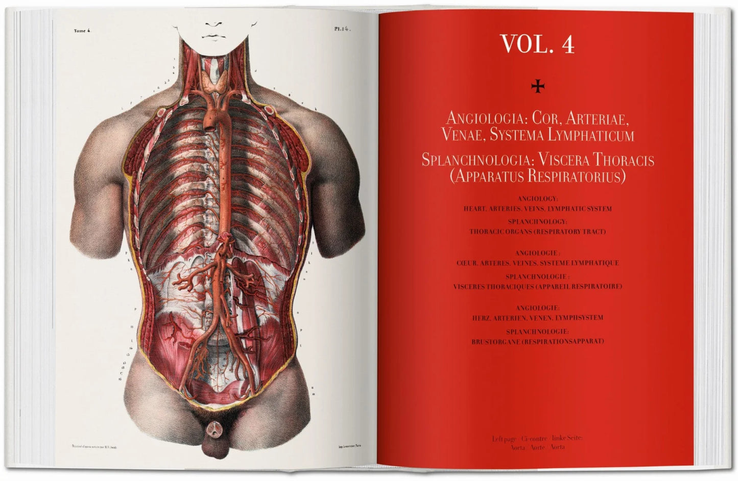 Bourgery. Atlas of Human Anatomy and Surgery