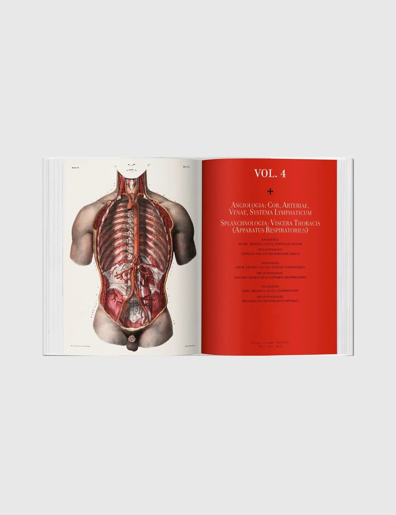 Bourgery. Atlas of Human Anatomy and Surgery