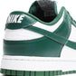 Nike Dunk Low Retro MICHIGAN STATE DD1391-101