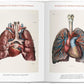 Bourgery. Atlas of Human Anatomy and Surgery