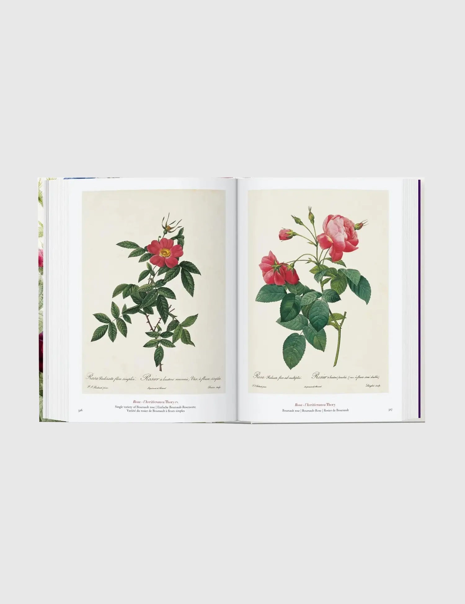 Redouté. The Book of Flowers.