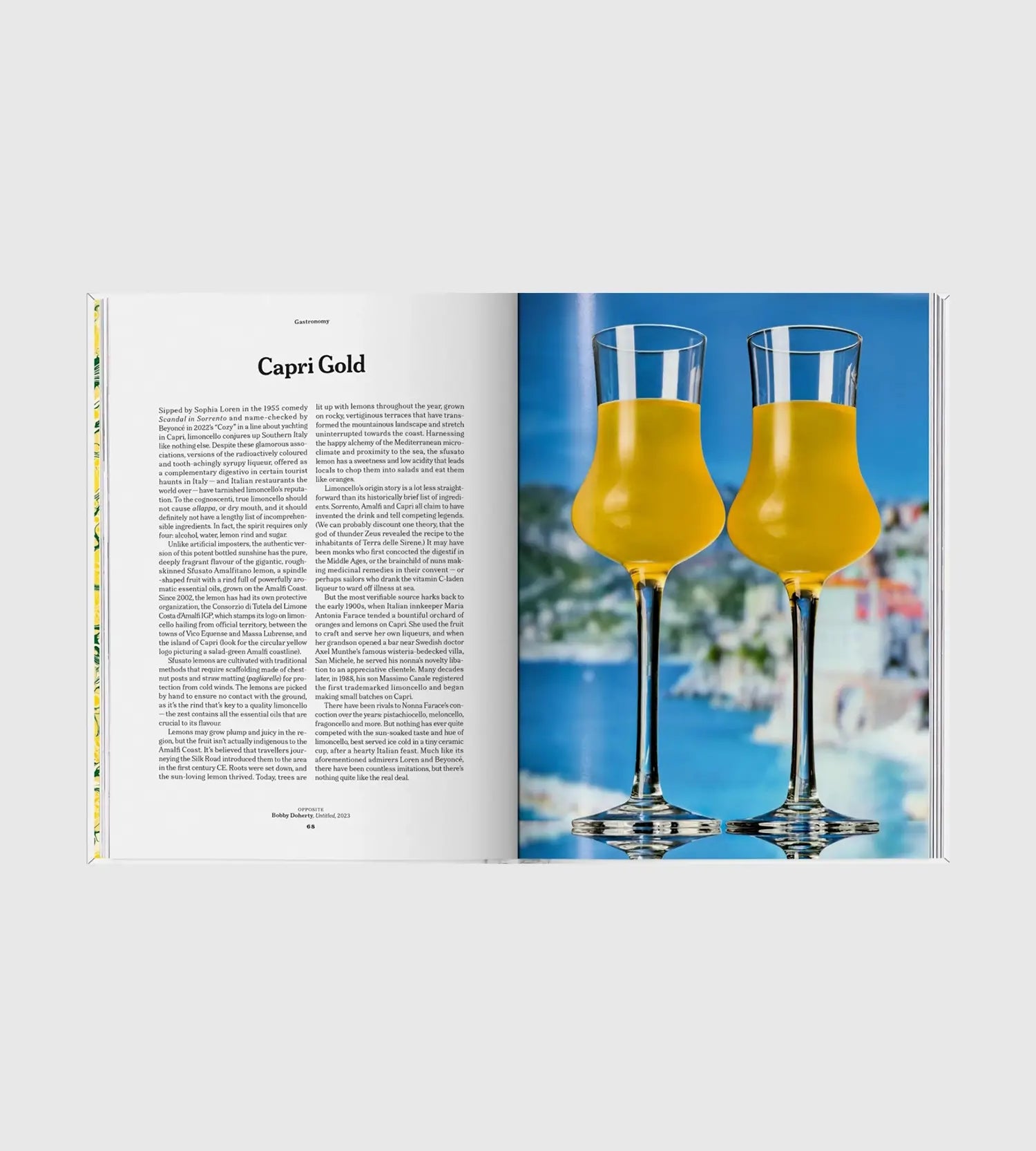 The Gourmand's Lemon. A Collection of Stories and Recipes