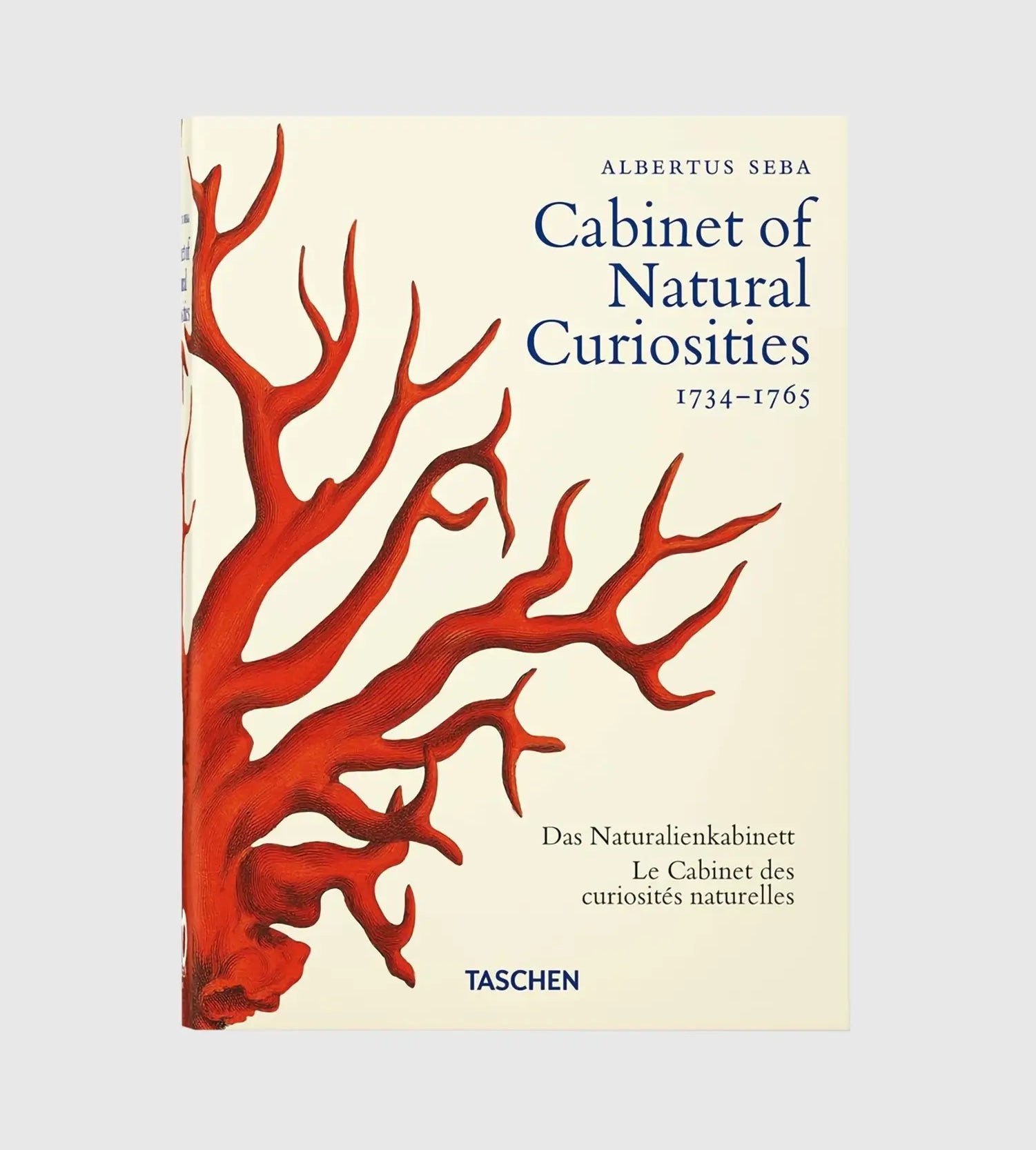 Knyga Cabinet of Natural Curiosities
