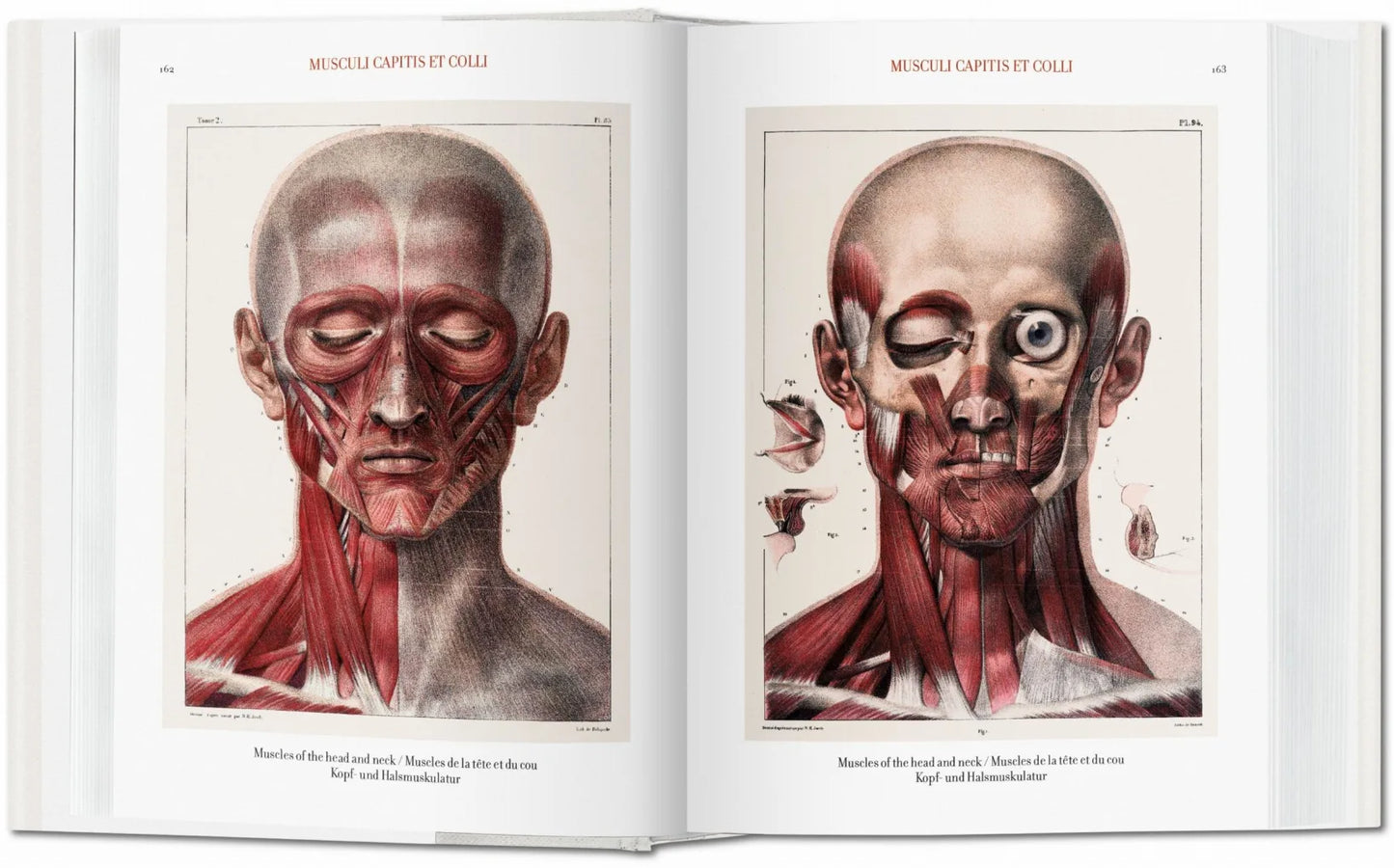 Bourgery. Atlas of Human Anatomy and Surgery