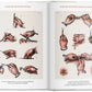 Bourgery. Atlas of Human Anatomy and Surgery