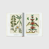 Knyga Cabinet of Natural Curiosities
