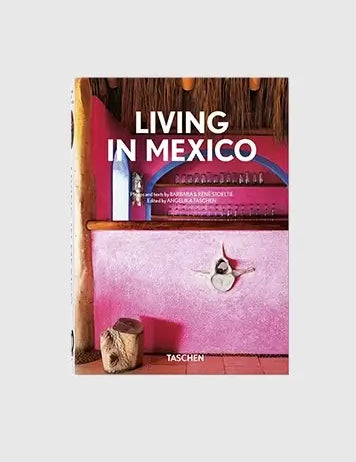 Knyga Living in Mexico
