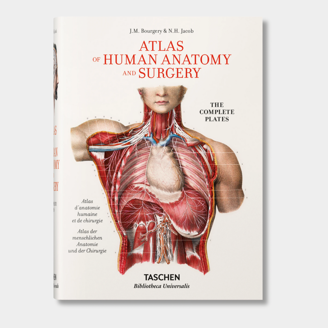 Bourgery. Atlas of Human Anatomy and Surgery