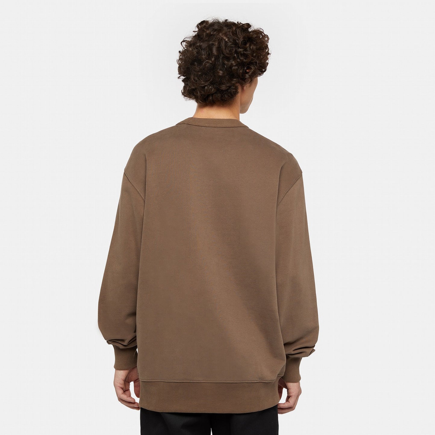 DICKIES AITKIN CHEST SWEATSHIRT