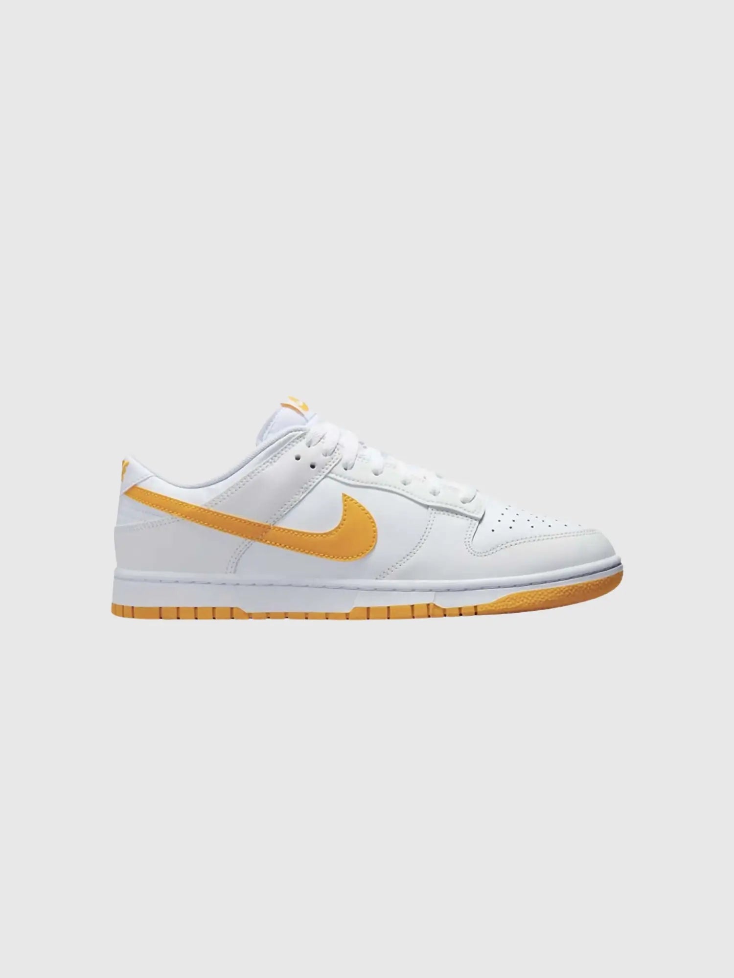 NIKE DUNK LOW RETRO DV0831-110