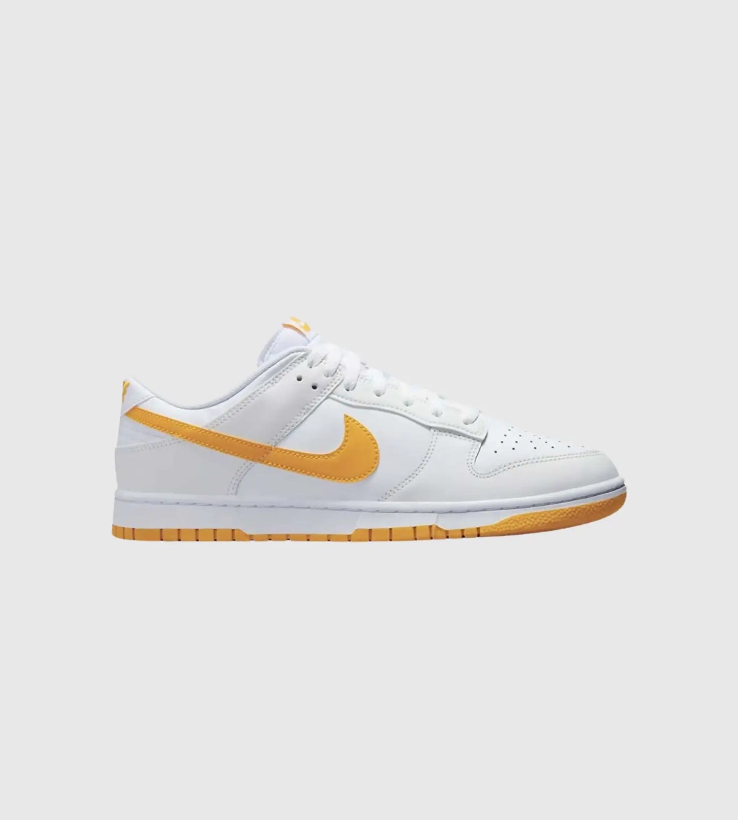 NIKE DUNK LOW RETRO DV0831-110