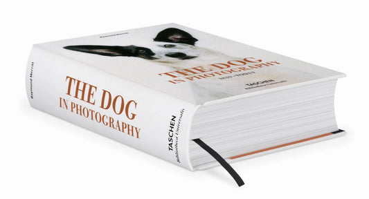 The Dog in Photography 1839–Today