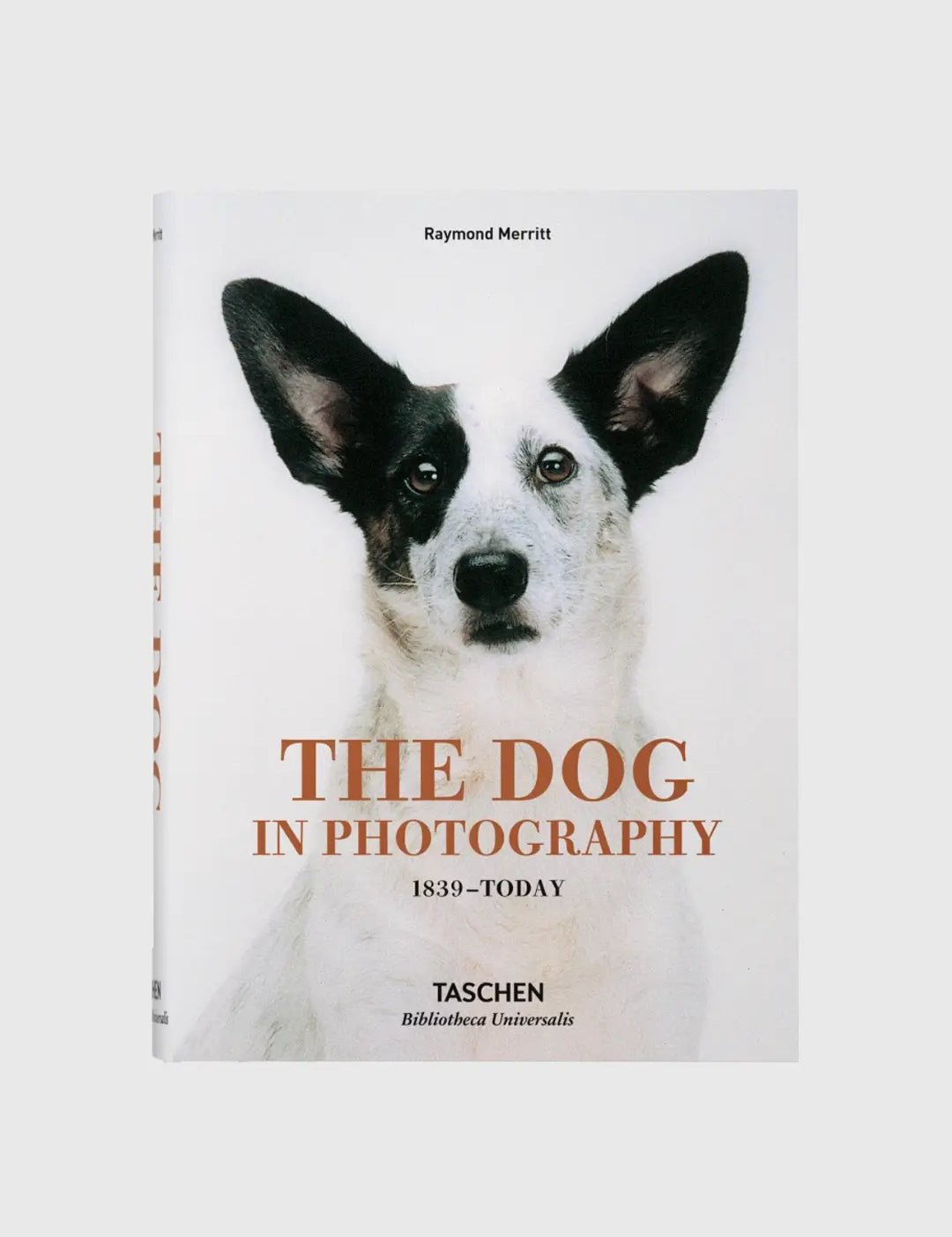 The Dog in Photography 1839–Today