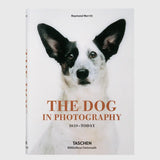 The Dog in Photography 1839–Today