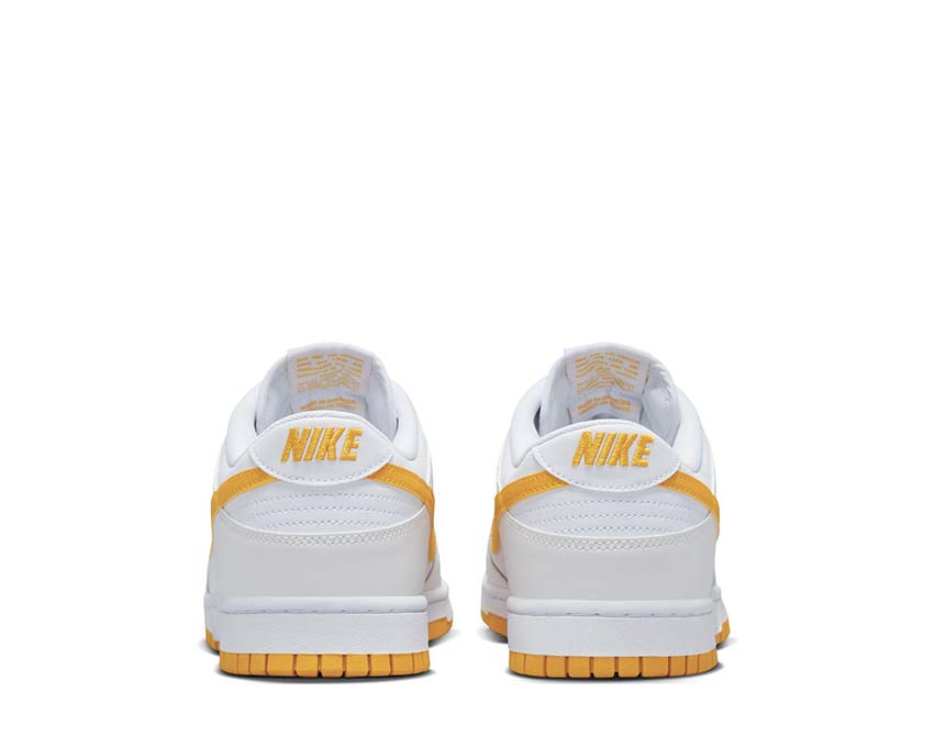 NIKE DUNK LOW RETRO DV0831-110