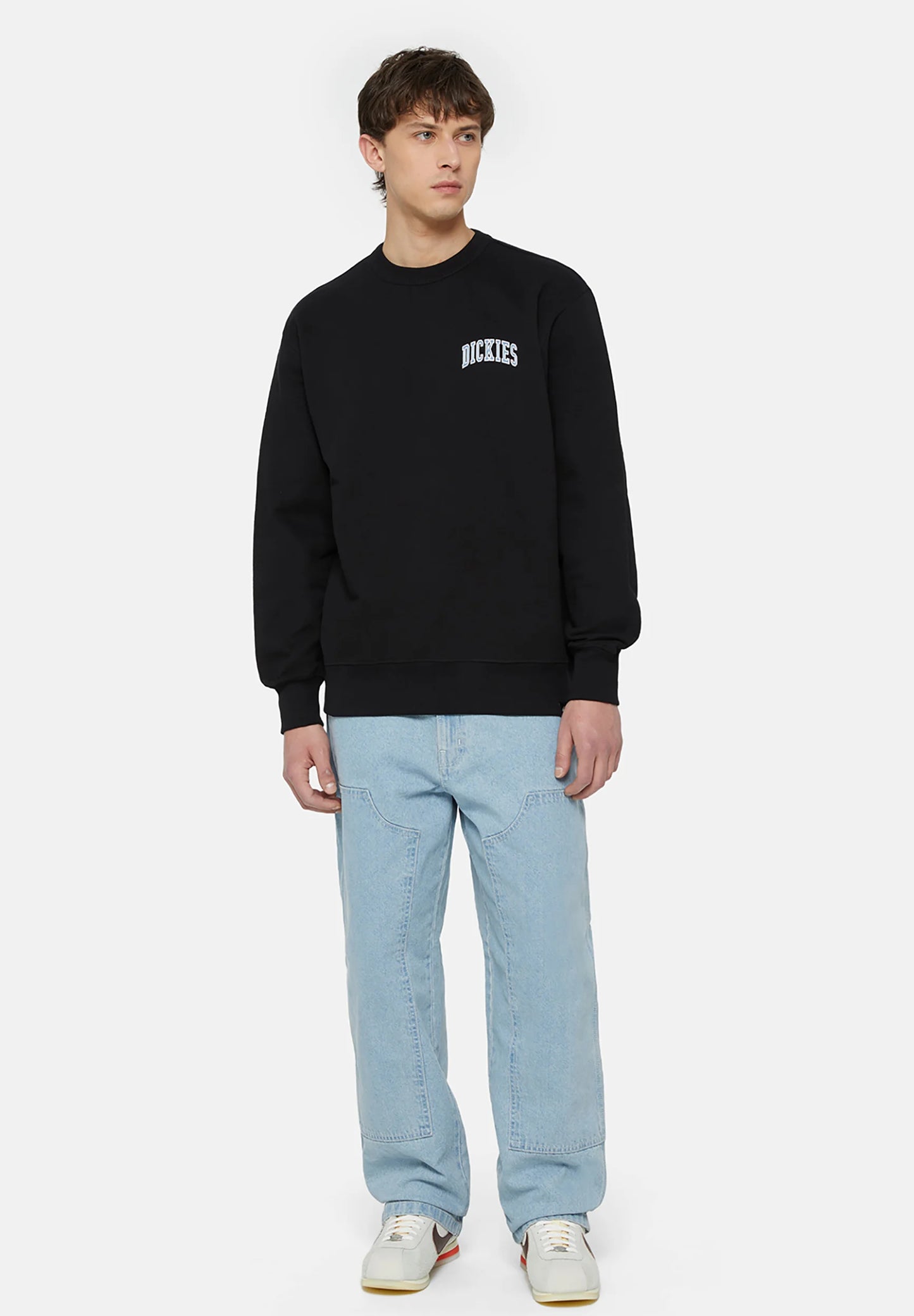 Dickies AITKIN CHEST - Sweatshirt