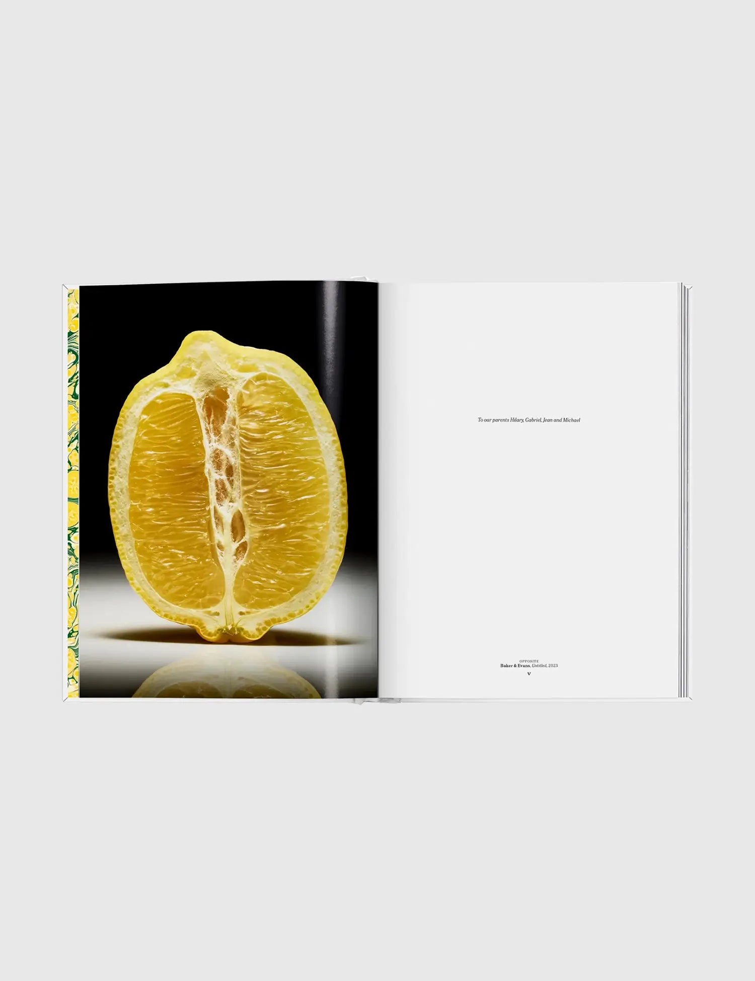 The Gourmand's Lemon. A Collection of Stories and Recipes