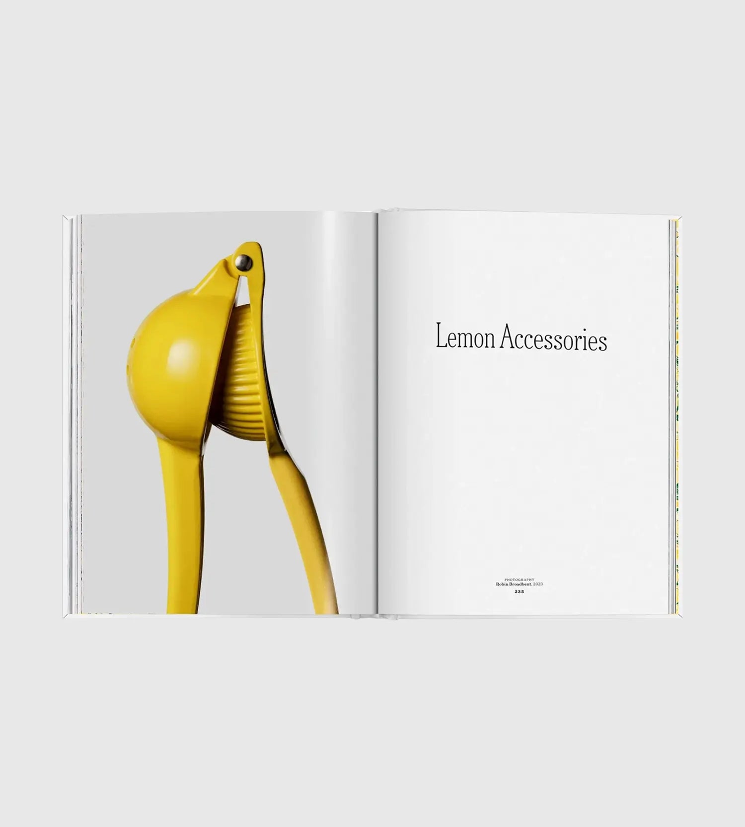 The Gourmand's Lemon. A Collection of Stories and Recipes