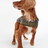 Tartan Dog Coat