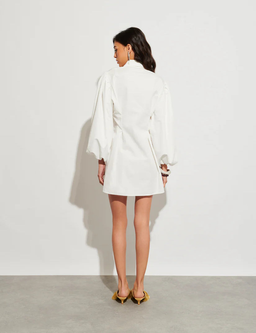 Billie Mini Dress