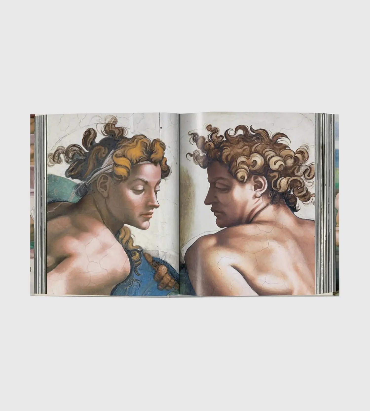 Michelangelo. The Complete Works. Paintings, Sculptures, Architecture