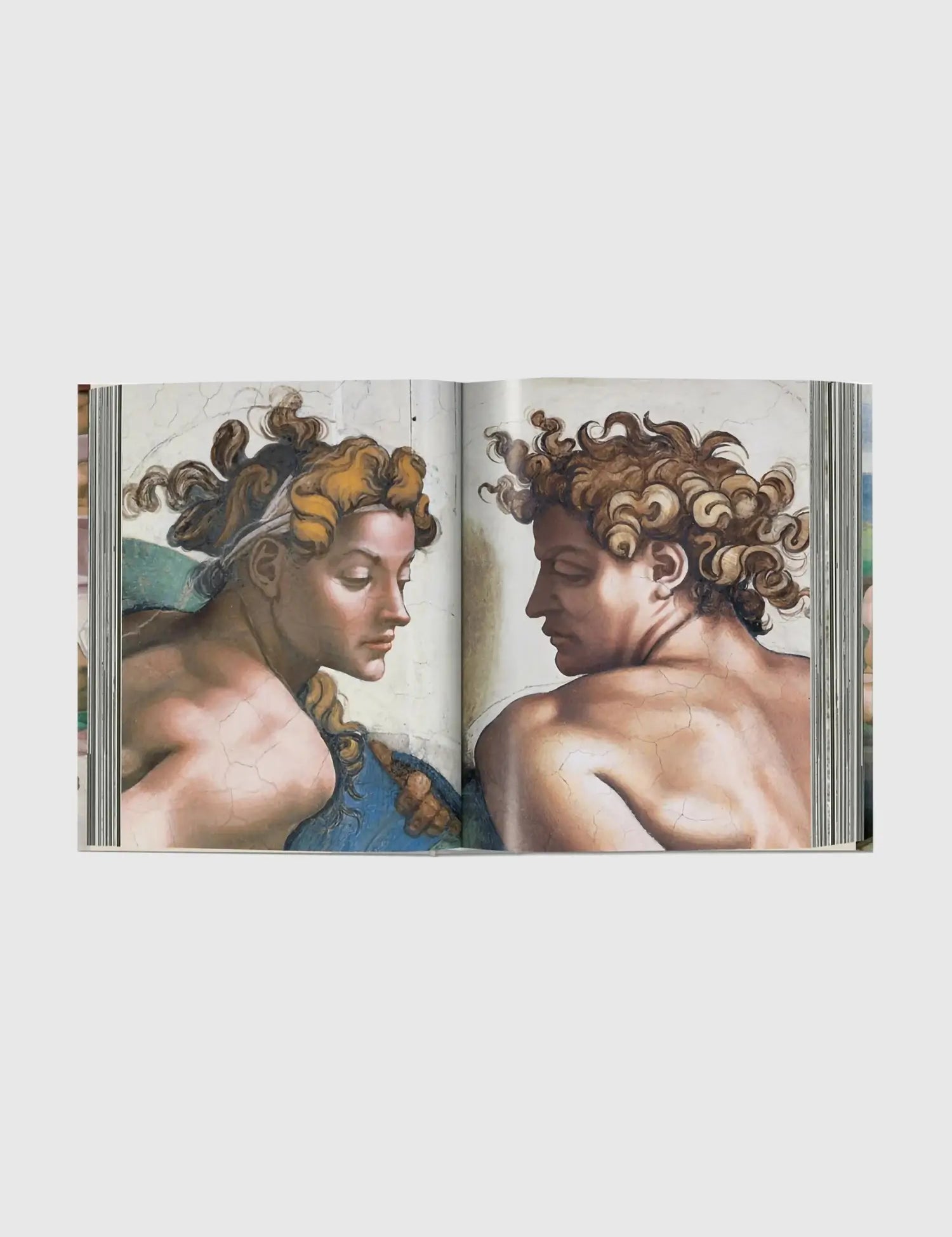 Michelangelo. The Complete Works. Paintings, Sculptures, Architecture