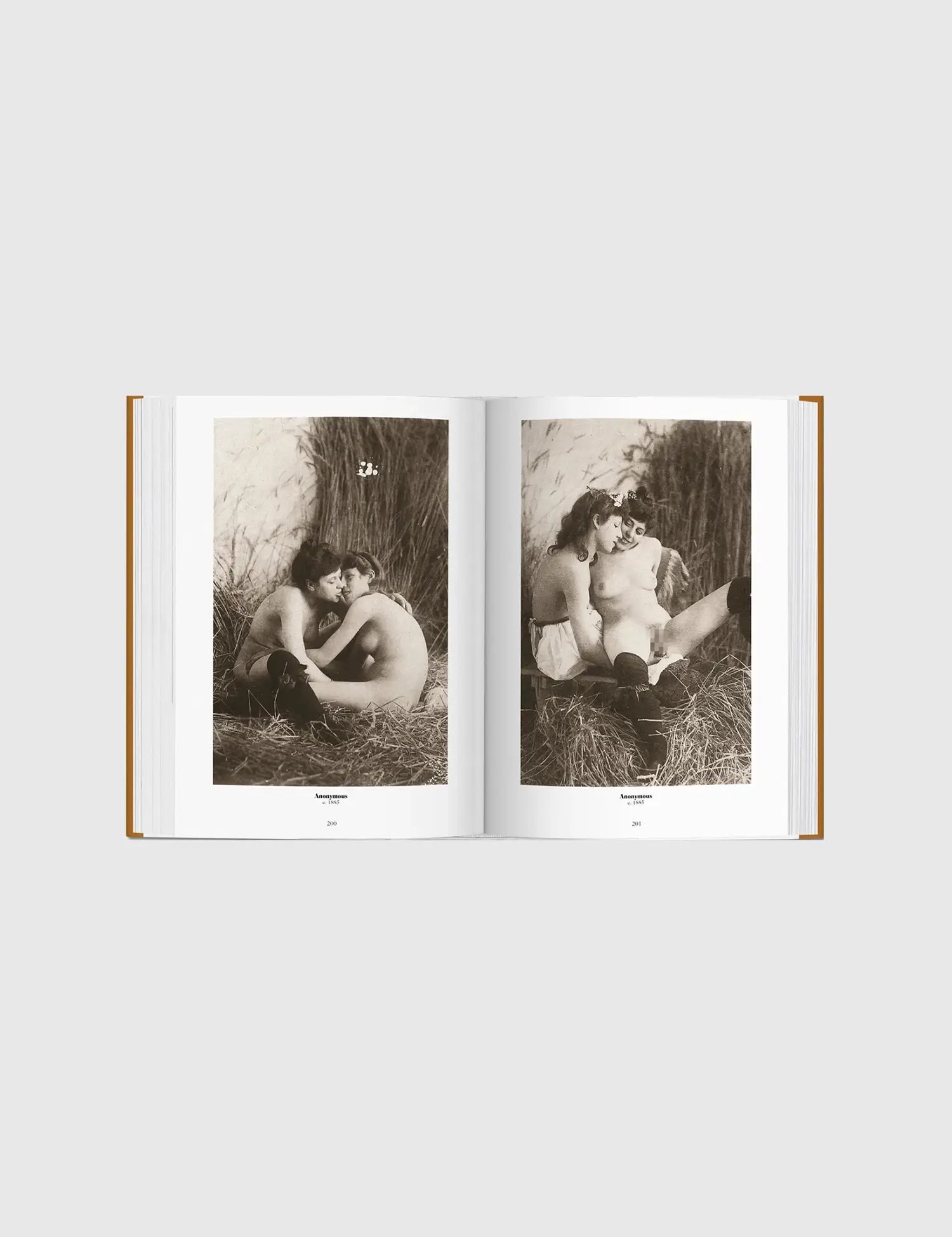 1000 Nudes. A History of Erotic Photography from 1839-1939