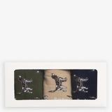 Pointer Dog Socks Gift Box