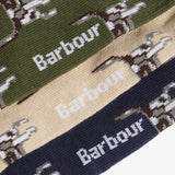 Pointer Dog Socks Gift Box