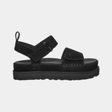 Goldenstar Black