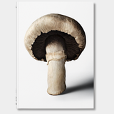 The Gourmand's Mushroom. A Collection of Stories & Recipes