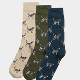 Pointer Dog Socks Gift Box