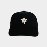Edelweiss Pica Cap - Black