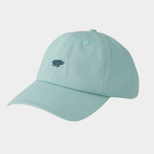 KEPURĖ KARHU CLASSIC LOGO CAP SURF SPRAY / DARK FOREST