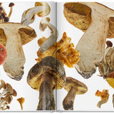 The Gourmand's Mushroom. A Collection of Stories & Recipes